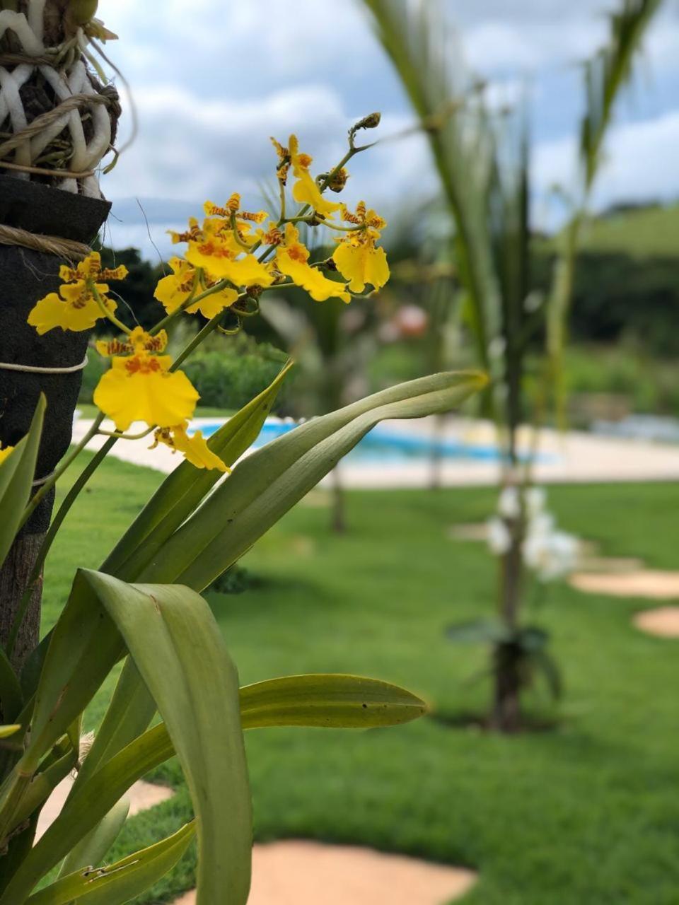 Paraiso Capitolio "A Pousada Da Dona Perpetua" Luaran gambar